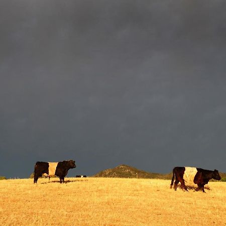 Peppertree Farm Mudgee Villa ภายนอก รูปภาพ
