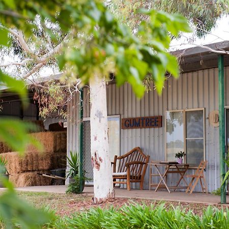 Peppertree Farm Mudgee Villa ภายนอก รูปภาพ