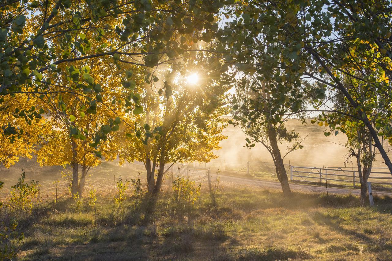 Peppertree Farm Mudgee Villa ภายนอก รูปภาพ